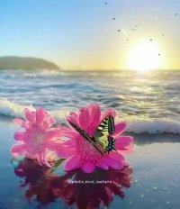 حال دلم وصله به حال دلت | همخوانی زیبا | آهنگ زیبا و عاشقانه