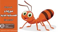 قصه کودکانه مورچه و همسایه جدید | کودکانه های رادیو مهرآوا