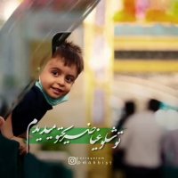 بچه بودم اومدم حرم | آهنگ زیبا | کلیپ زیبا | امام رضا | کلیپ امام رضا