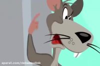 کارتون تام و جری - مجموعه کارتون های تام و جری