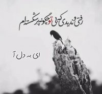 رفتی و ندیدی که بی تو چگونه پر شکسته ام | آهنگ زیبا | علی زندوکیلی