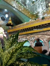 مداحی لری برای امام رضا | زیارت امام رضا | کلیپ زیبا