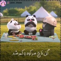 سیزده بدر و سیزده بدر شد | آهنگ زیبا | کلیپ 13 بدر | کلیپ شاد و زیبا