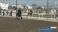 مسابقات سوارکاری پرش با اسب