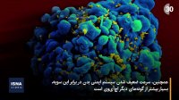 کشف سویه جدید HIV محققان 