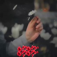 رگ خواب این دل تو دست تو بوده | آهنگ زیبا | محسن یگانه | آهنگ عاشقانه