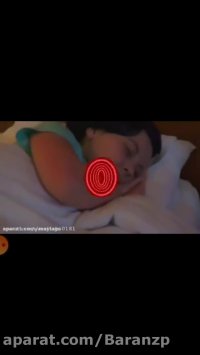 دختر کفشدوزکی ( دوبله از گروه دوبلژ شگفت انگیز )