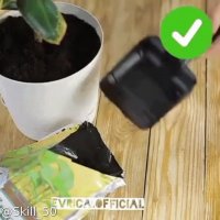 خلاقیت با وسایل دور ریختنی