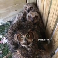 اگه گفتین امروز چه روزیه ... کلیپهای خنده دار اینستا