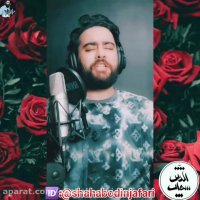 پدر  روز پدر مبارک  روز پدر  کلیپ روز پدر  تبریک روز پدر