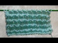 آموزش بافت دندان موشی