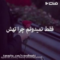 کلیپ کوتاه زیبا برای وضعیت واتساپ